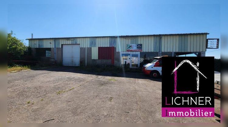 Ma-Cabane - Vente Local commercial Altviller, 1044 m²