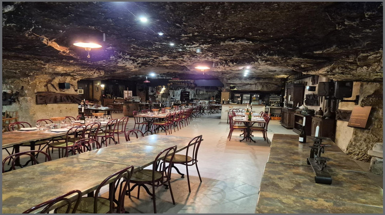 Ma-Cabane - Vente Local commercial Amboise, 880 m²