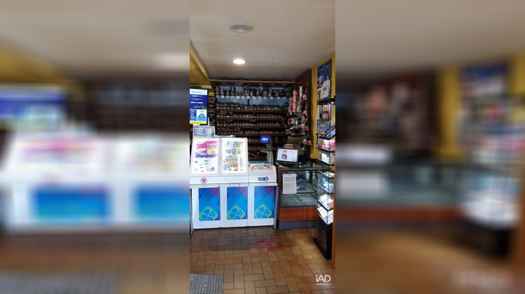 Ma-Cabane - Vente Local commercial Ancenis, 230 m²