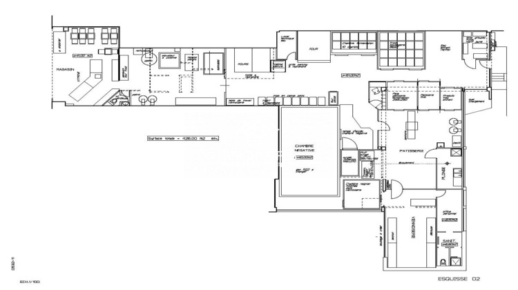 Ma-Cabane - Vente Local commercial Annemasse, 426 m²