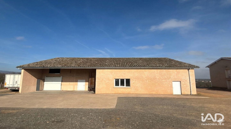 Ma-Cabane - Vente Local commercial Arnas, 400 m²