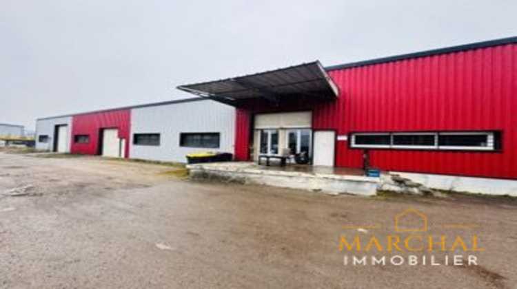Ma-Cabane - Vente Local commercial Ars-sur-Moselle, 4000 m²