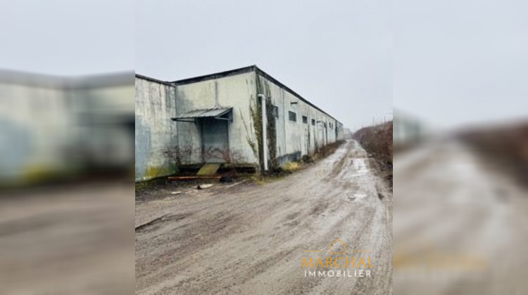 Ma-Cabane - Vente Local commercial Ars-sur-Moselle, 4000 m²