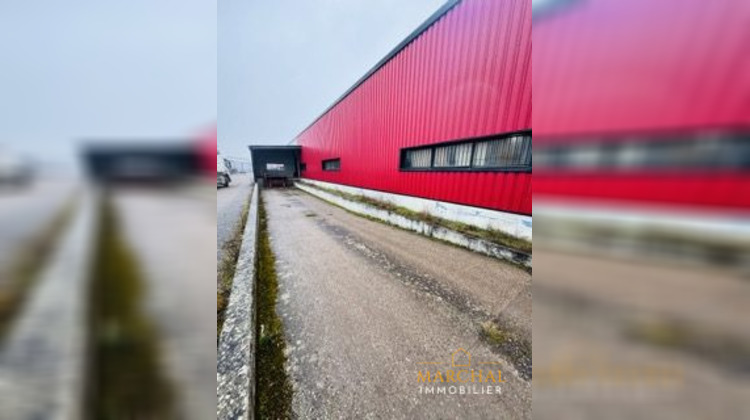 Ma-Cabane - Vente Local commercial Ars-sur-Moselle, 4000 m²