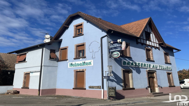 Ma-Cabane - Vente Local commercial Artolsheim, 250 m²