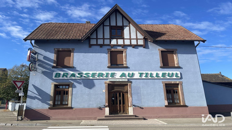 Ma-Cabane - Vente Local commercial Artolsheim, 250 m²