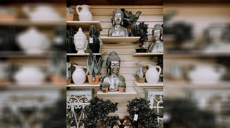 Ma-Cabane - Vente Local commercial Auray, 302 m²