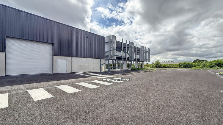 Ma-Cabane - Vente Local commercial Avelin, 680 m²