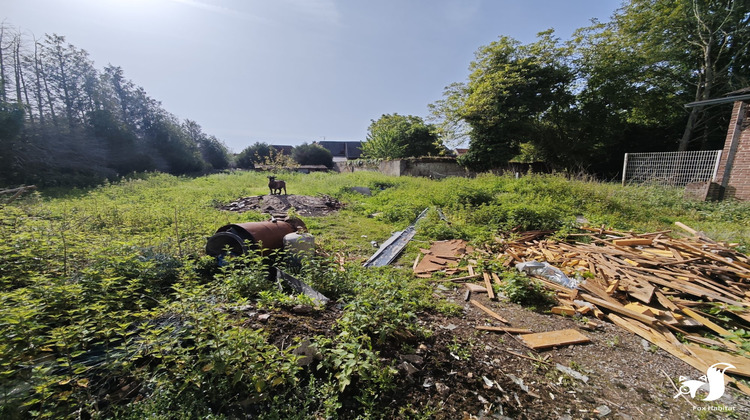 Ma-Cabane - Vente Local commercial Avesnes-les-Aubert, 580 m²