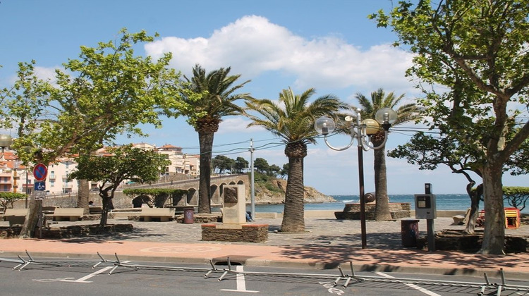 Ma-Cabane - Vente Local commercial Banyuls-sur-Mer, 17 m²