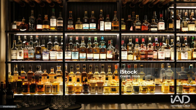 Ma-Cabane - Vente Local commercial Bayonne, 43 m²