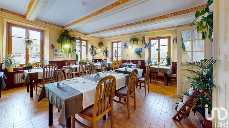 Ma-Cabane - Vente Local commercial Besse-Et-Saint-Anastaise, 606 m²