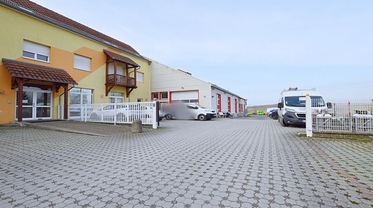 Ma-Cabane - Vente Local commercial Betschdorf, 781 m²