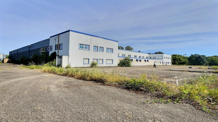Ma-Cabane - Vente Local commercial Betting, 6778 m²