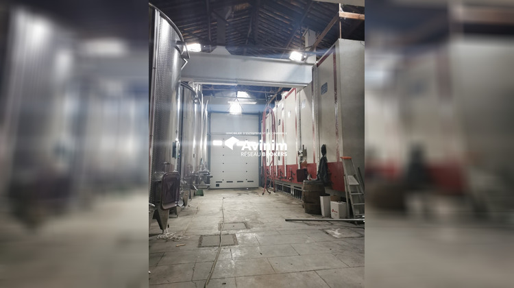 Ma-Cabane - Vente Local commercial Béziers, 1980 m²