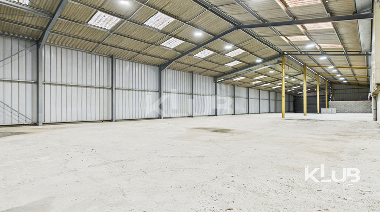 Ma-Cabane - Vente Local commercial BIGUGLIA, 600 m²