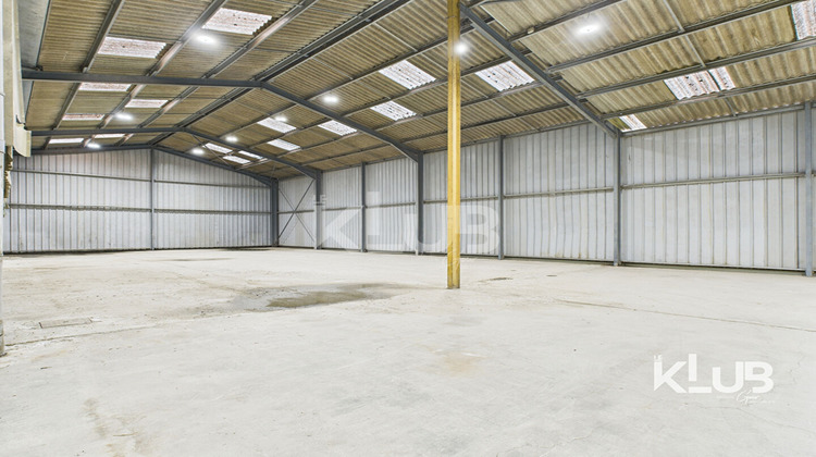 Ma-Cabane - Vente Local commercial BIGUGLIA, 600 m²