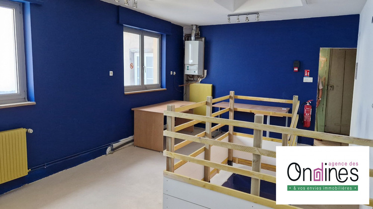 Ma-Cabane - Vente Local commercial Bischwiller, 172 m²