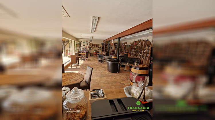 Ma-Cabane - Vente Local commercial Blanquefort-sur-Briolance, 620 m²
