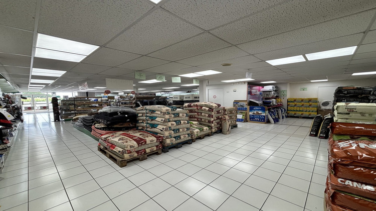 Ma-Cabane - Vente Local commercial Boissise-le-Roi, 633 m²