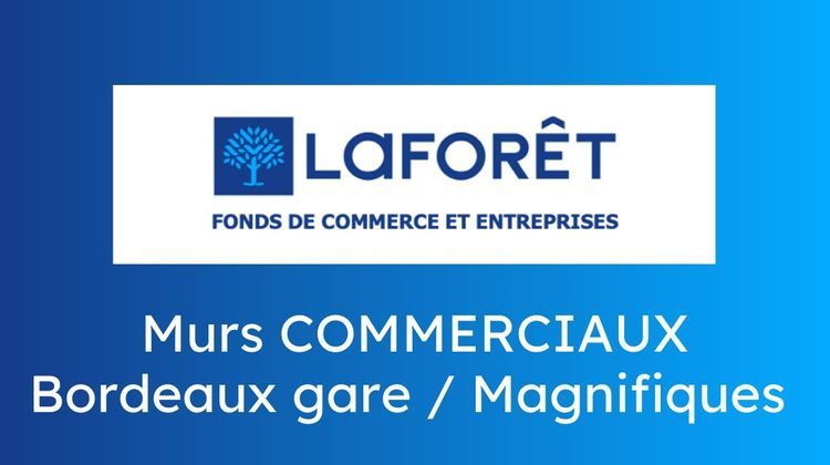 Ma-Cabane - Vente Local commercial Bordeaux, 300 m²