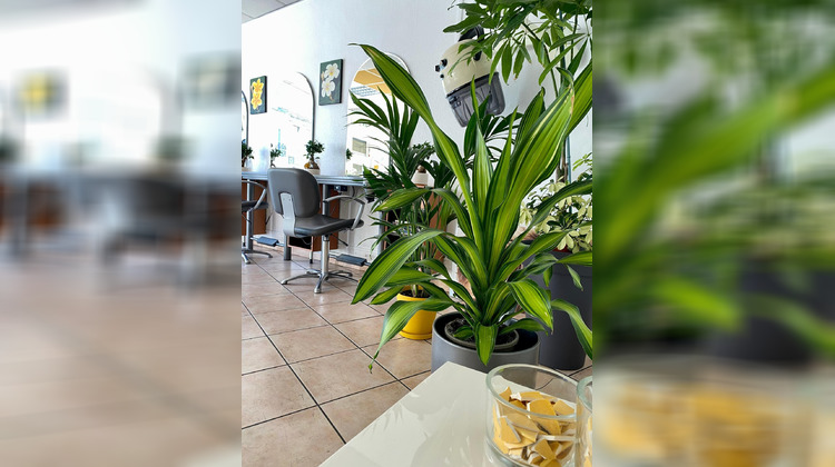 Ma-Cabane - Vente Local commercial Bordeaux, 85 m²