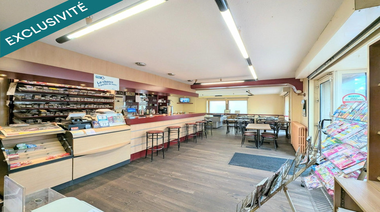 Ma-Cabane - Vente Local commercial Bouille-Menard, 215 m²