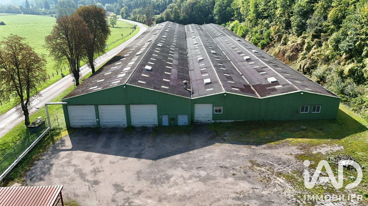 Ma-Cabane - Vente Local commercial Bourbonne-les-Bains, 7000 m²
