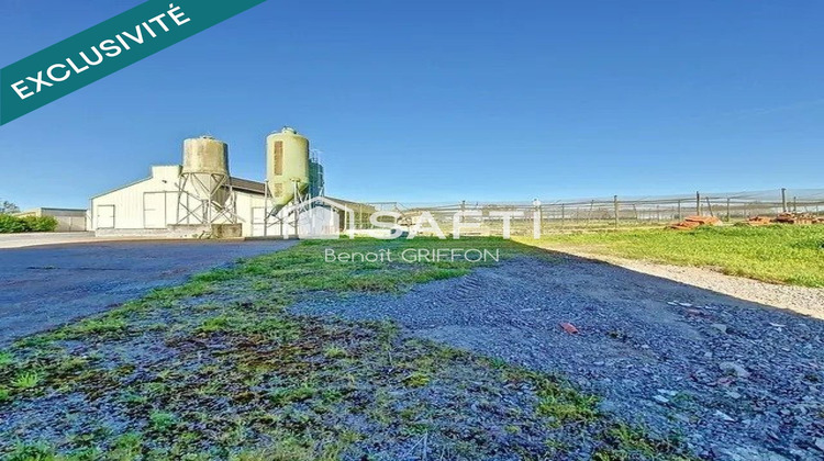 Ma-Cabane - Vente Local commercial Boussay, 4290 m²
