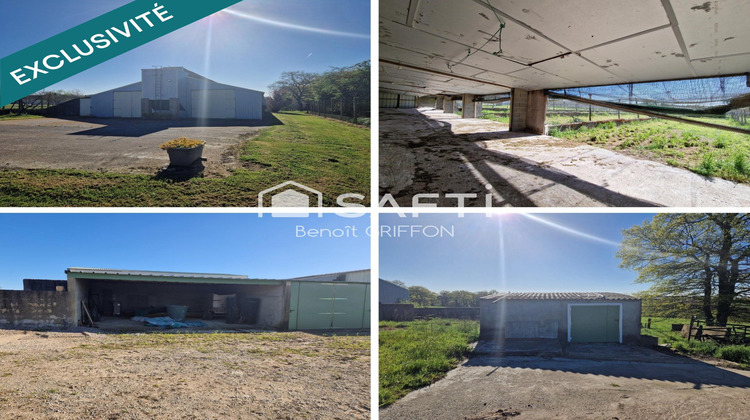 Ma-Cabane - Vente Local commercial Boussay, 4290 m²