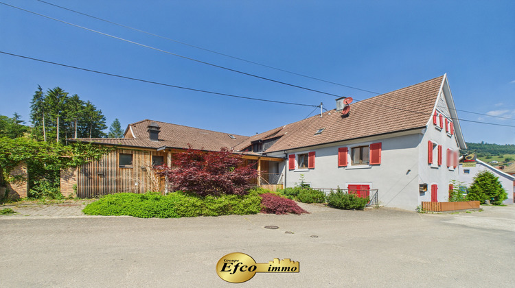 Ma-Cabane - Vente Local commercial Breitenbach-Haut-Rhin, 400 m²