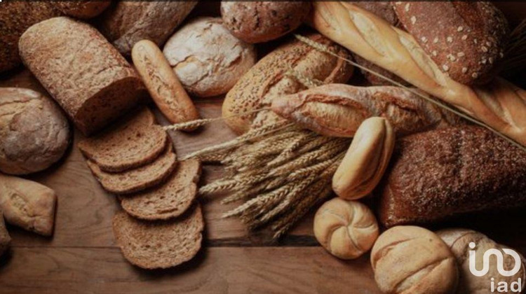 Ma-Cabane - Vente Local commercial Bretteville-sur-Laize, 200 m²