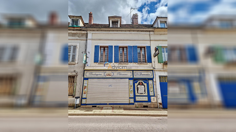 Ma-Cabane - Vente Local commercial Brienon-sur-Armançon, 216 m²