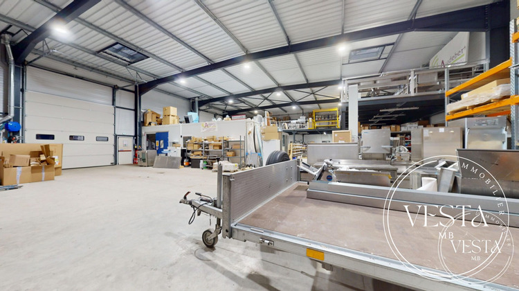 Ma-Cabane - Vente Local commercial Burnhaupt-le-Haut, 1400 m²