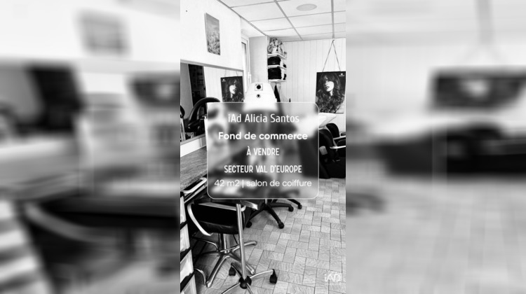 Ma-Cabane - Vente Local commercial Bussy-Saint-Georges, 42 m²