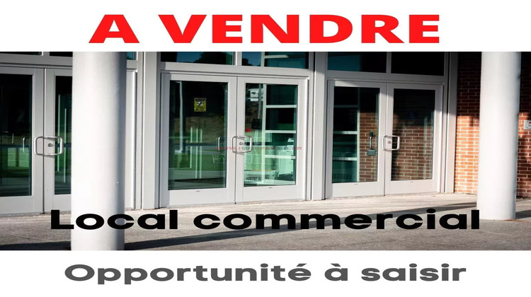 Ma-Cabane - Vente Local commercial Cabestany, 2766 m²