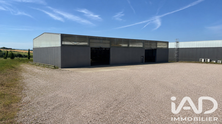 Ma-Cabane - Vente Local commercial Cahuzac-sur-Vère, 450 m²