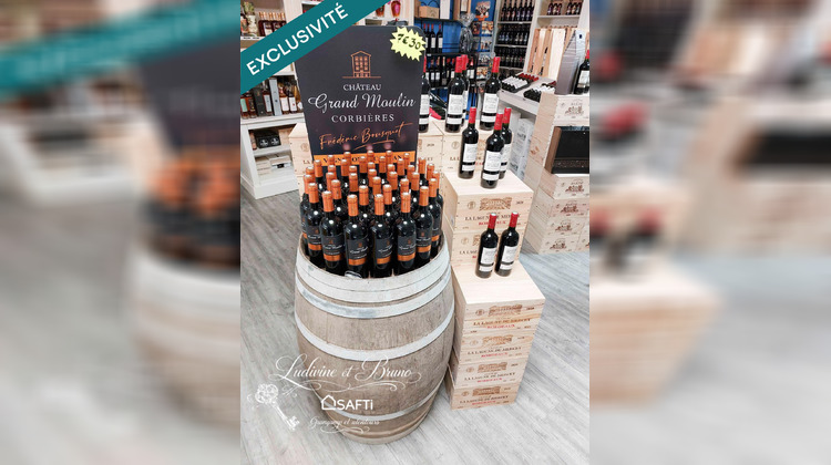 Ma-Cabane - Vente Local commercial Callac, 382 m²