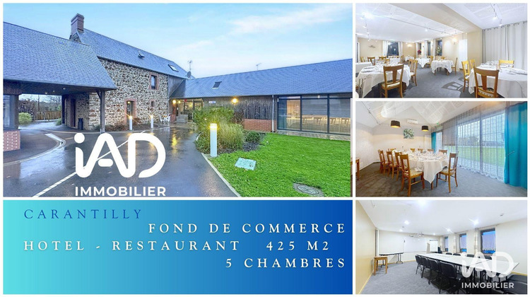 Ma-Cabane - Vente Local commercial Carantilly, 425 m²