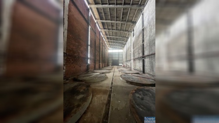 Ma-Cabane - Vente Local commercial Carbonne, 9637 m²