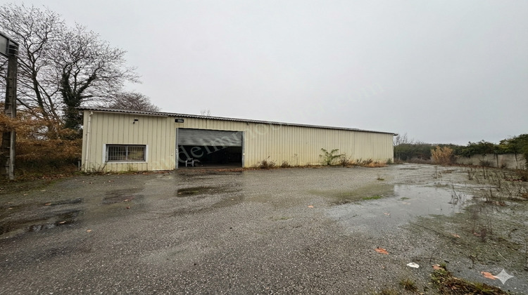 Ma-Cabane - Vente Local commercial Carcassonne, 400 m²