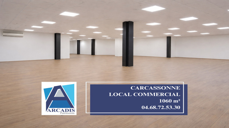 Ma-Cabane - Vente Local commercial CARCASSONNE, 1060 m²