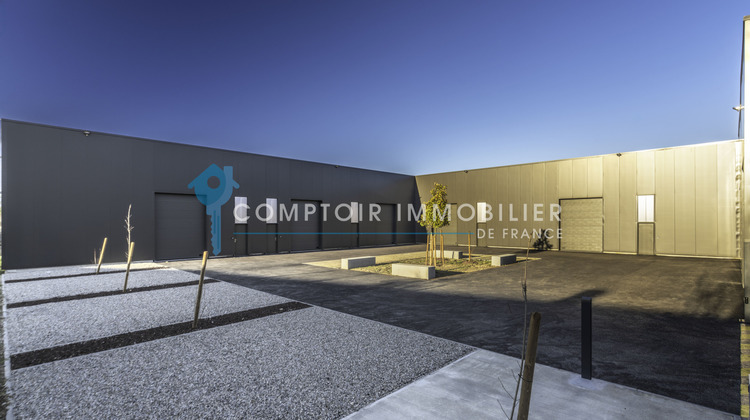 Ma-Cabane - Vente Local commercial Castanet-Tolosan, 260 m²