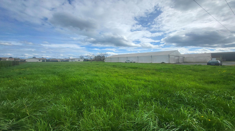 Ma-Cabane - Vente Local commercial Castets-en-Dorthe, 4000 m²