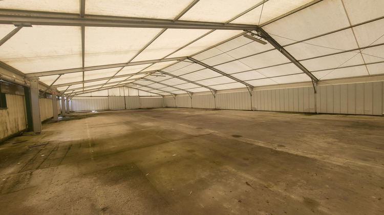 Ma-Cabane - Vente Local commercial Castets-en-Dorthe, 4000 m²