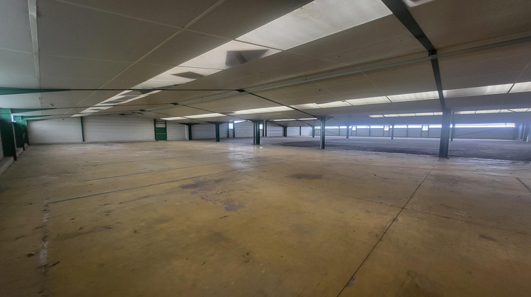 Ma-Cabane - Vente Local commercial Castets-en-Dorthe, 4000 m²
