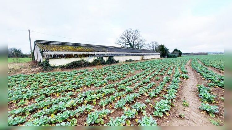 Ma-Cabane - Vente Local commercial Champgenéteux, 375 m²