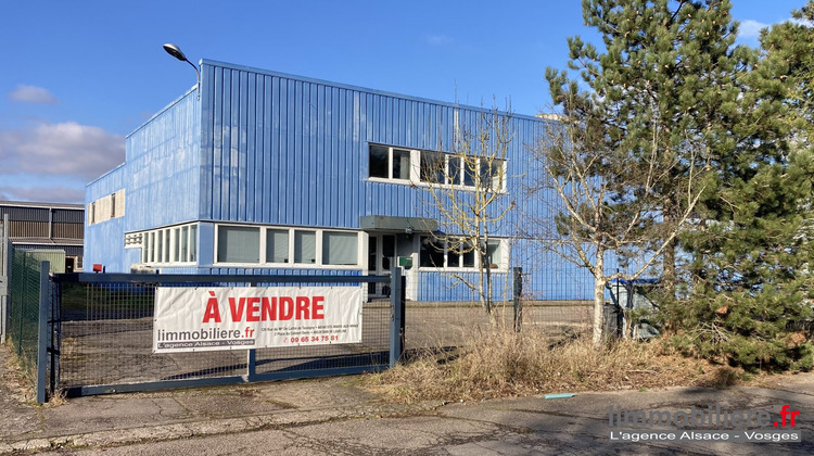 Ma-Cabane - Vente Local commercial Champigneulles, 600 m²