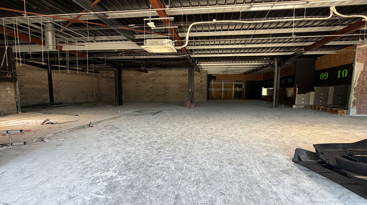 Ma-Cabane - Vente Local commercial CHOISEY, 650 m²