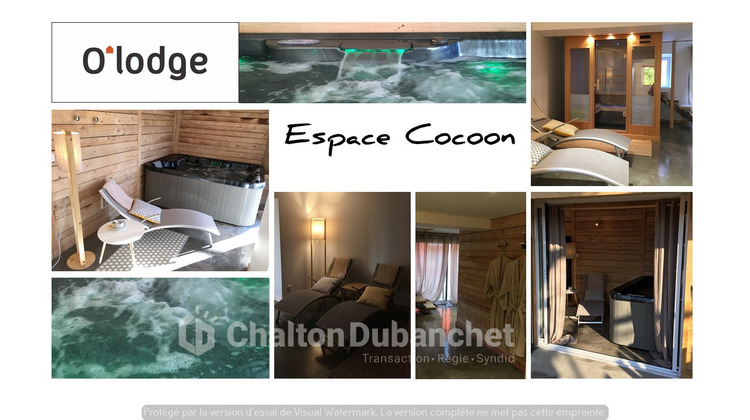 Ma-Cabane - Vente Local commercial CLEPPE, 495 m²